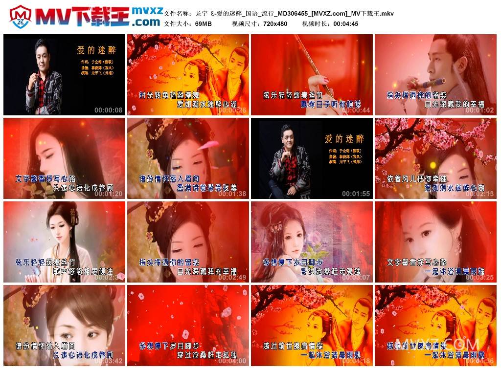 龙宇飞-爱的迷醉_国语_流行_MD306455